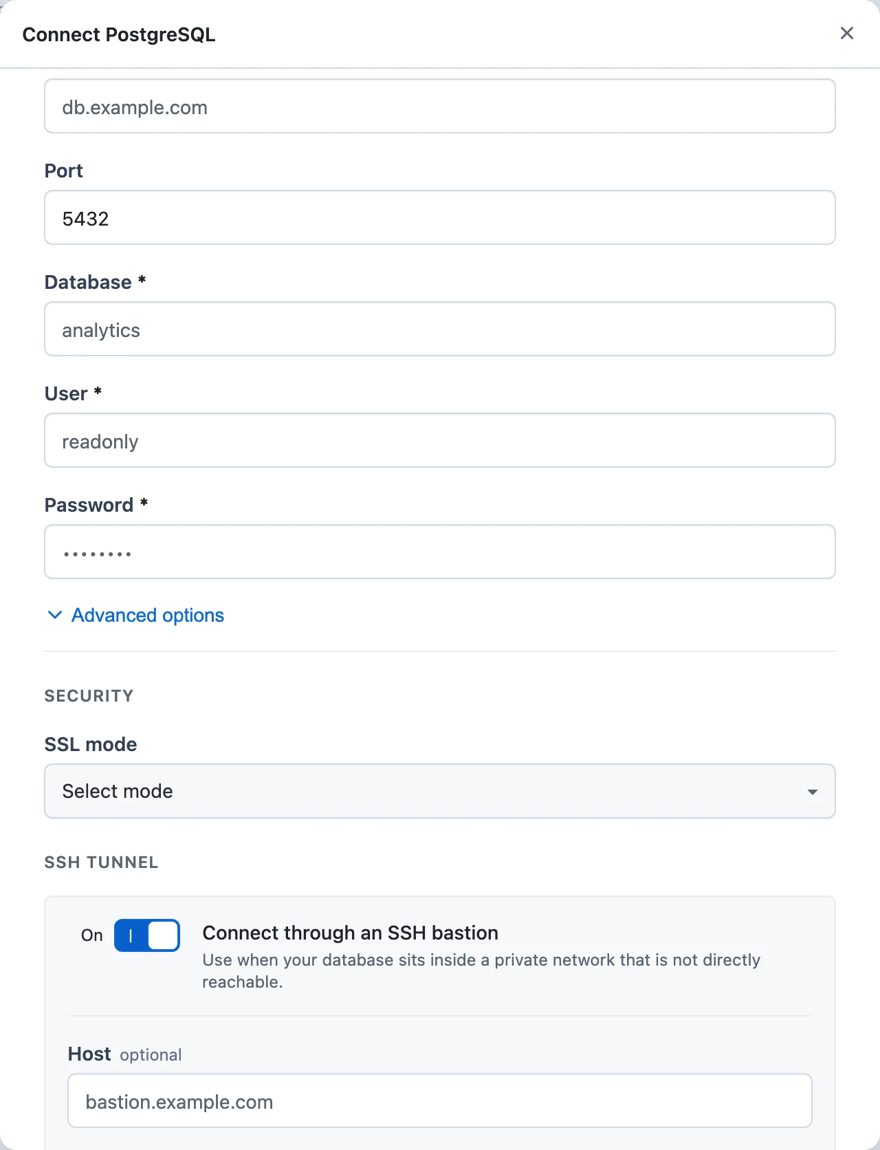 A database connector connect modal with the Connect through an SSH bastion toggle enabled and the SSH host, port, user, and private key fields visible